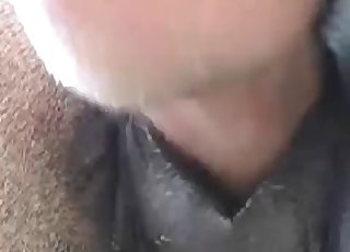 Stunning anal sex action with my stallion