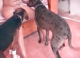 Naked brunette fucking a dog